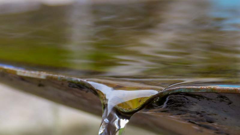 Mitleben in der Abtei: Frei